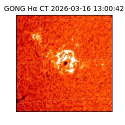 gong - 2026-03-16T13:00:42