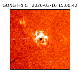 gong - 2026-03-16T15:00:42