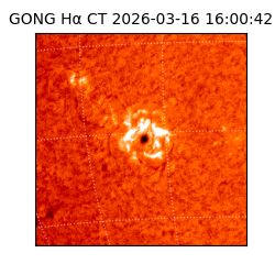 gong - 2026-03-16T16:00:42