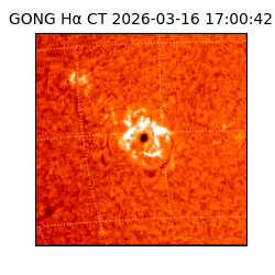 gong - 2026-03-16T17:00:42