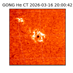 gong - 2026-03-16T20:00:42