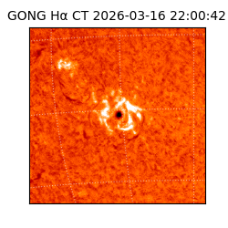 gong - 2026-03-16T22:00:42