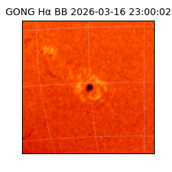 gong - 2026-03-16T23:00:02