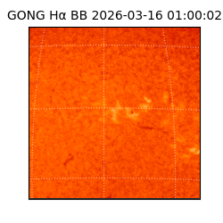 gong - 2026-03-16T01:00:02