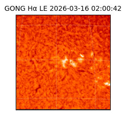 gong - 2026-03-16T02:00:42