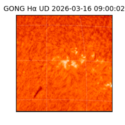 gong - 2026-03-16T09:00:02