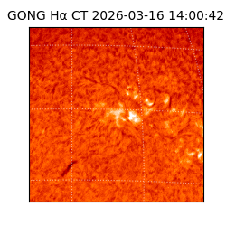 gong - 2026-03-16T14:00:42