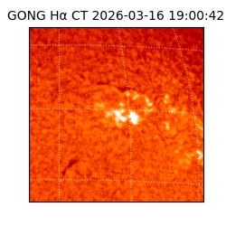 gong - 2026-03-16T19:00:42