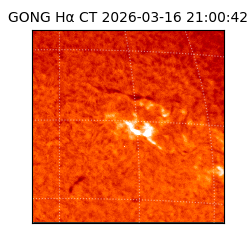 gong - 2026-03-16T21:00:42