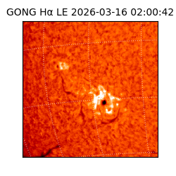 gong - 2026-03-16T02:00:42