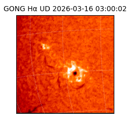 gong - 2026-03-16T03:00:02