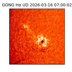 gong - 2026-03-16T07:00:02