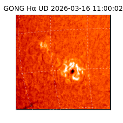 gong - 2026-03-16T11:00:02