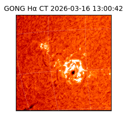 gong - 2026-03-16T13:00:42