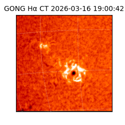 gong - 2026-03-16T19:00:42