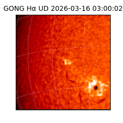 gong - 2026-03-16T03:00:02