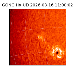 gong - 2026-03-16T11:00:02
