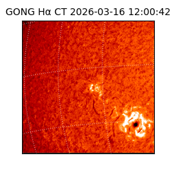 gong - 2026-03-16T12:00:42