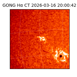 gong - 2026-03-16T20:00:42