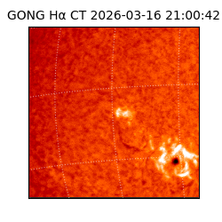 gong - 2026-03-16T21:00:42