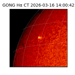 gong - 2026-03-16T14:00:42