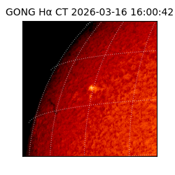 gong - 2026-03-16T16:00:42