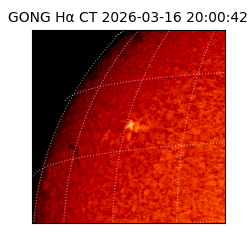 gong - 2026-03-16T20:00:42