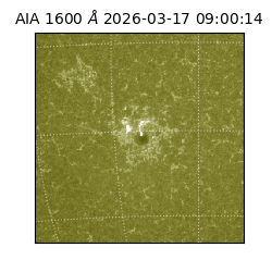 saia - 2026-03-17T09:00:14.124000