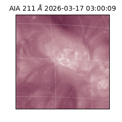 saia - 2026-03-17T03:00:09.624000