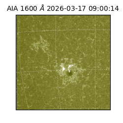 saia - 2026-03-17T09:00:14.124000