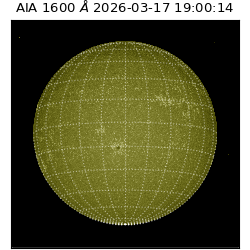 saia - 2026-03-17T19:00:14.123000