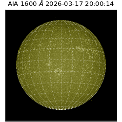 saia - 2026-03-17T20:00:14.123000