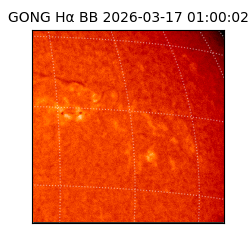 gong - 2026-03-17T01:00:02