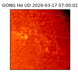 gong - 2026-03-17T07:00:02