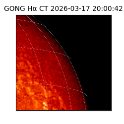 gong - 2026-03-17T20:00:42