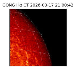gong - 2026-03-17T21:00:42