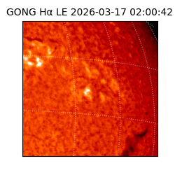 gong - 2026-03-17T02:00:42