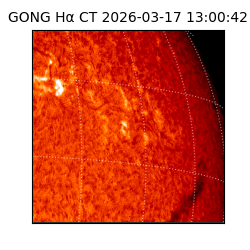 gong - 2026-03-17T13:00:42