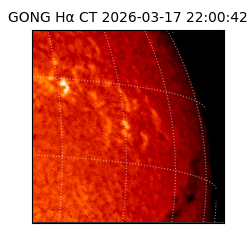 gong - 2026-03-17T22:00:42