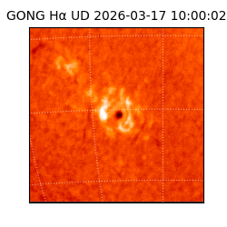 gong - 2026-03-17T10:00:02