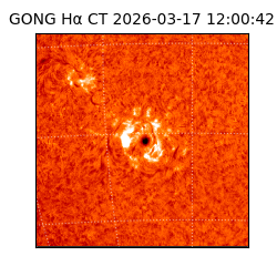 gong - 2026-03-17T12:00:42