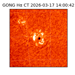 gong - 2026-03-17T14:00:42