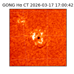 gong - 2026-03-17T17:00:42