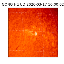 gong - 2026-03-17T10:00:02