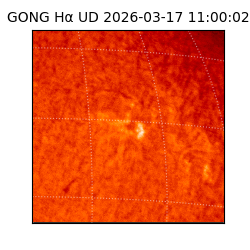 gong - 2026-03-17T11:00:02