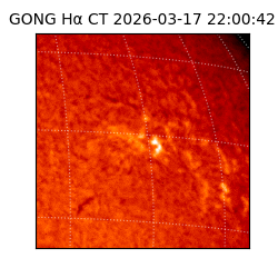 gong - 2026-03-17T22:00:42