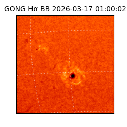 gong - 2026-03-17T01:00:02