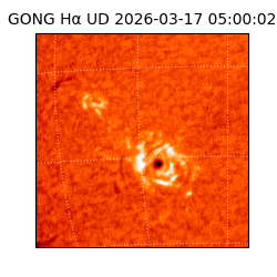 gong - 2026-03-17T05:00:02