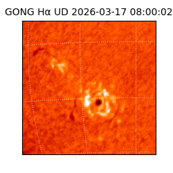 gong - 2026-03-17T08:00:02