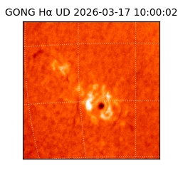 gong - 2026-03-17T10:00:02